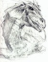 20050303